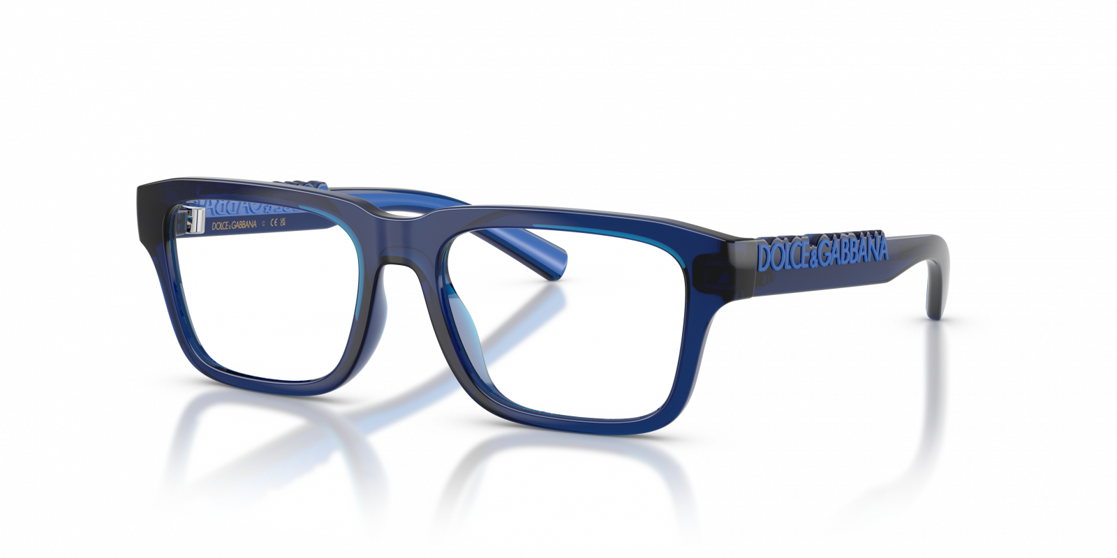 Dolce & Gabbana DX5008 3009  